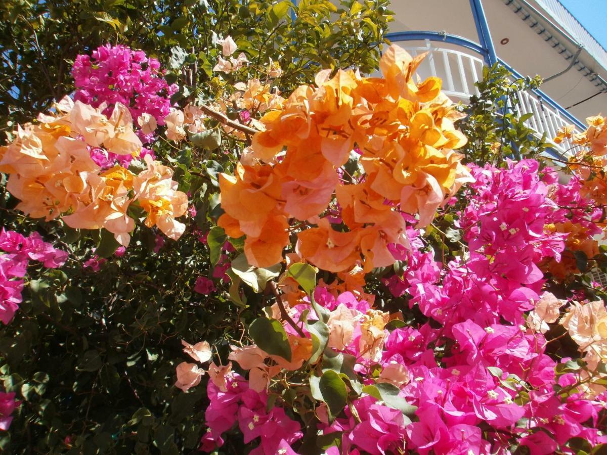 Seaview - Selfcatering Apartment - Helen No 2 Xiropigado Bagian luar foto